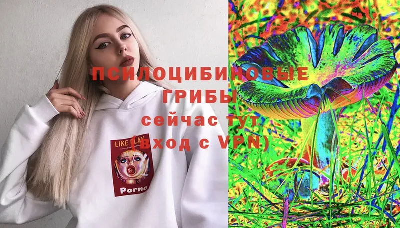 Галлюциногенные грибы MAGIC MUSHROOMS Оханск